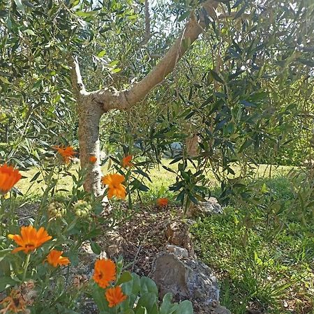 فيلا La Mandriana ماسا ماريتيما المظهر الخارجي الصورة